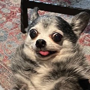 Meet your Posher, Justin